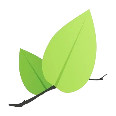 leaflet